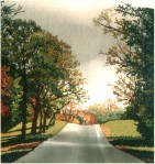 New Work | An Autumn&nbsp;Walk