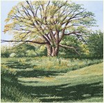 Spring Tree in Highland&nbsp;Park